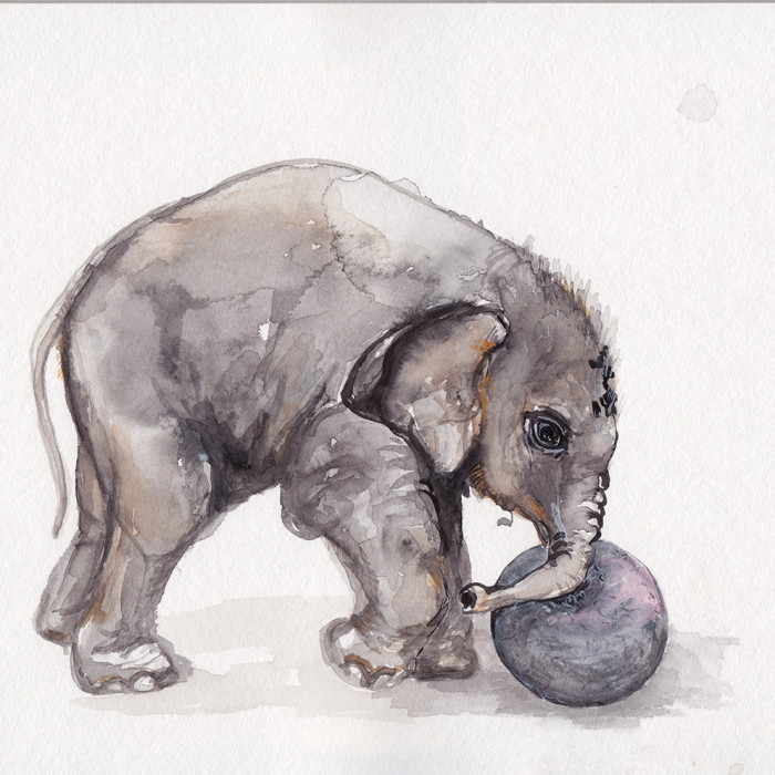 kleiner Elefant mit Ball