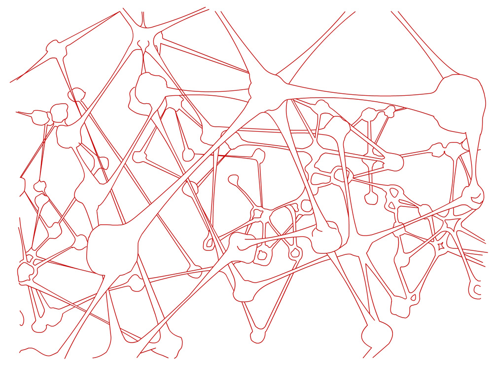 Synapsen