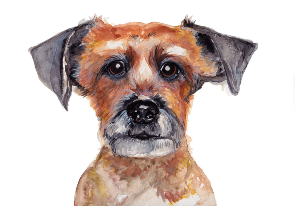 Hund mit Persönlichkeit.